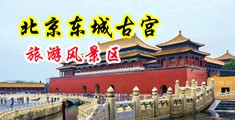 美洲女优性啪啪视频中国北京-东城古宫旅游风景区